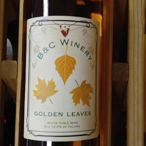 Golden Leaves (Golden Delicious Apple) 2022 Silver Award Winner, Finger Lakes, Rochester, NY SOLD OUT
